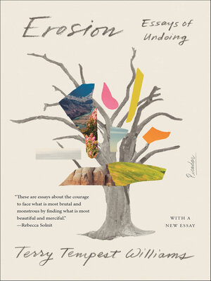Erosion - ebook